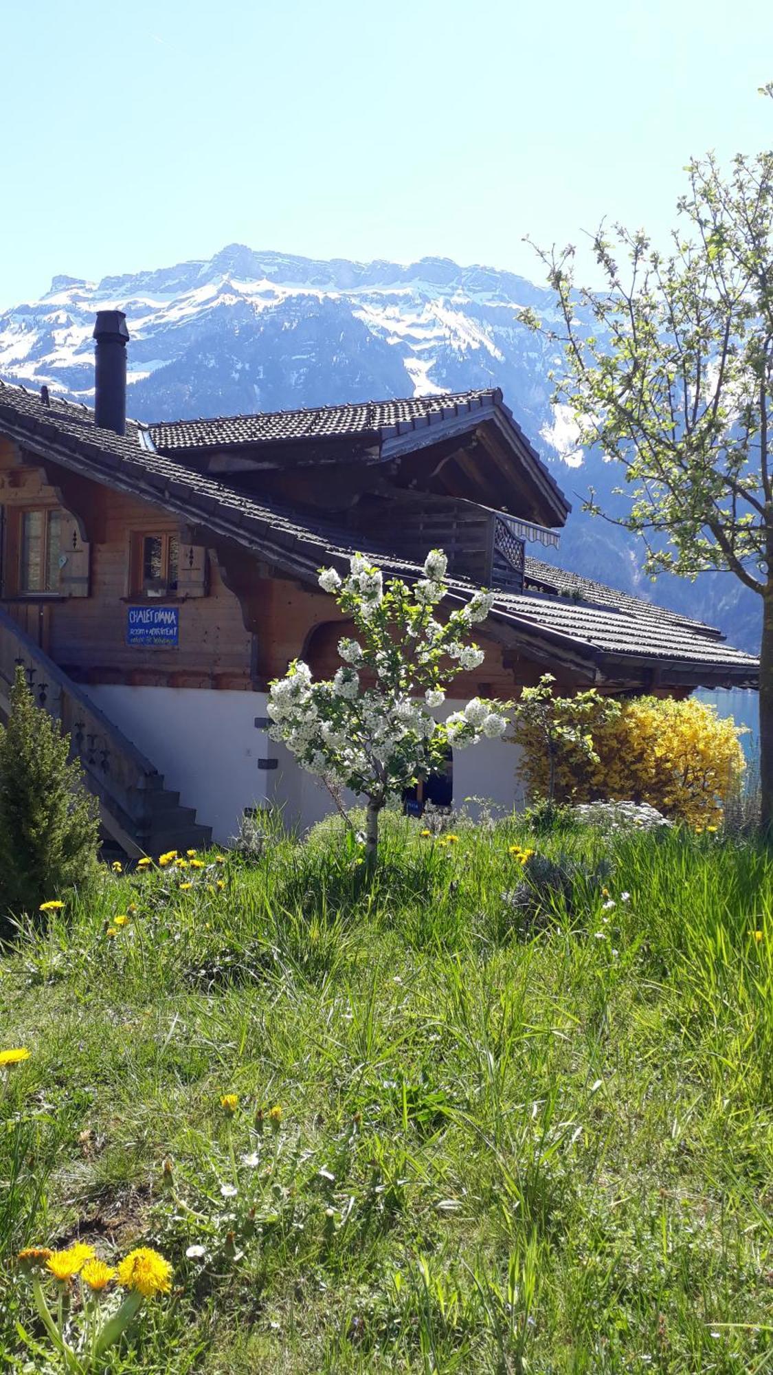 Chalet Diana Lakefront Ringgenberg Luaran gambar
